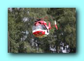 IMG_4464.jpg