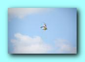 IMG_4555.jpg