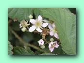 IMG_4918+.jpg